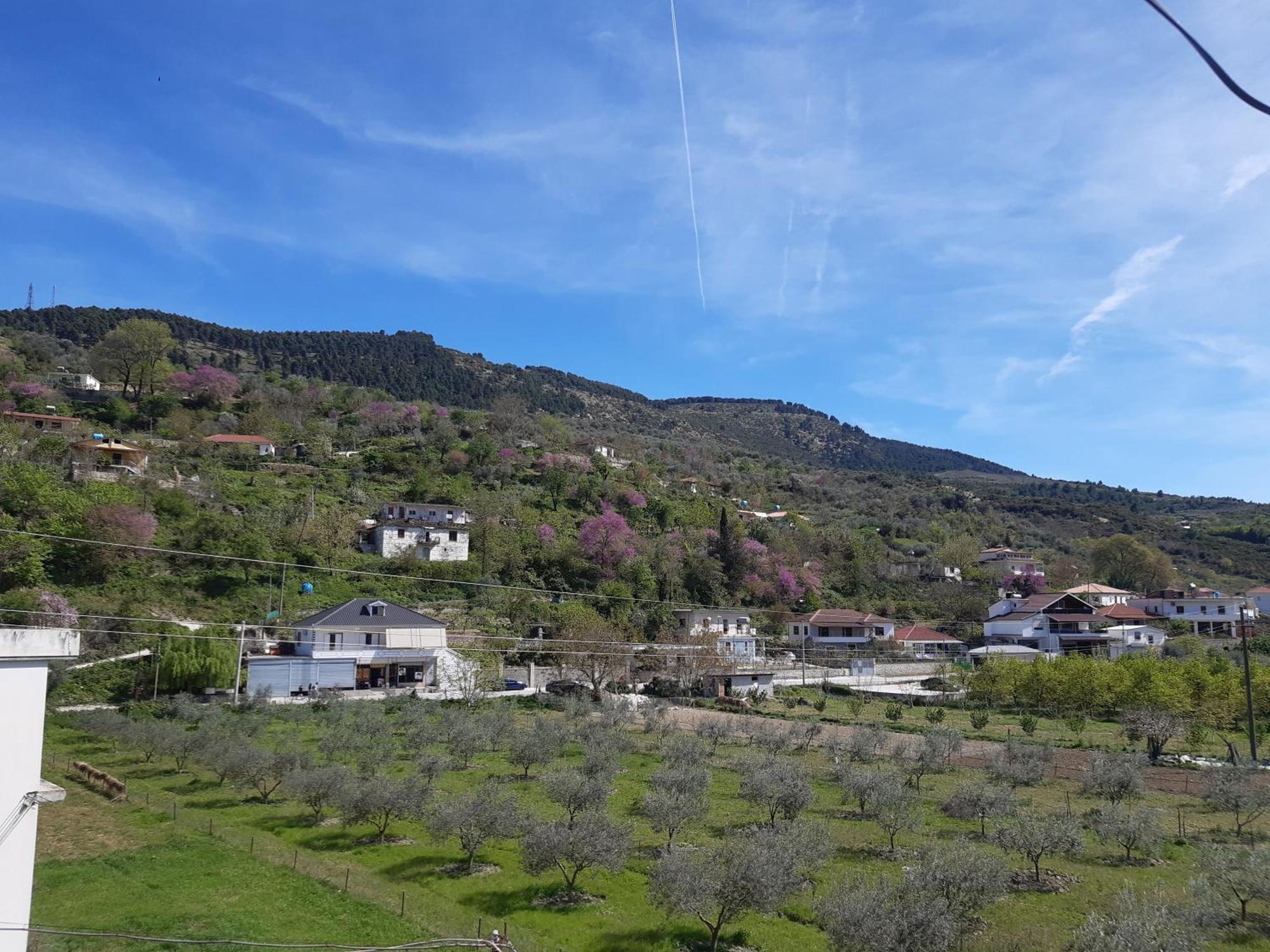 Villa Ari Berat Exterior foto